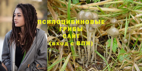 дживик Приозерск