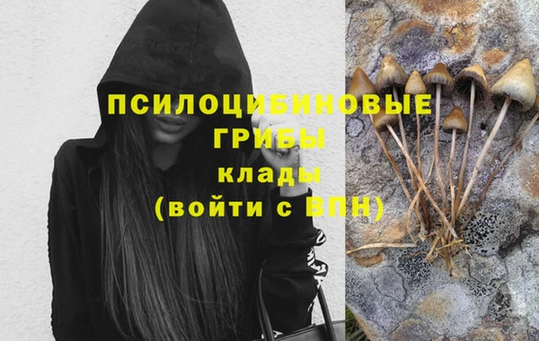 mdpv Пролетарск